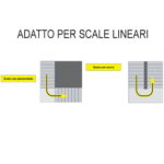 Lg Basic Scale