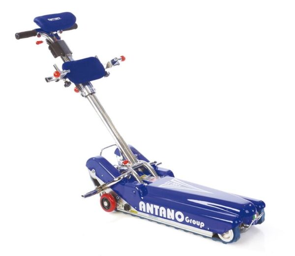 Montascalea Cingoliantanolg