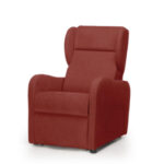 Poltrona relax elevabile a 2 motori - Moretti Spa AGAVE PO410 - immagine 3