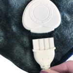 Termoforo a 6 temperature - Moretti Alpak LTK700 - immagine 3