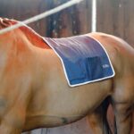 COPERTINA KORA - Magnetoterapia Veterinaria - immagine 3